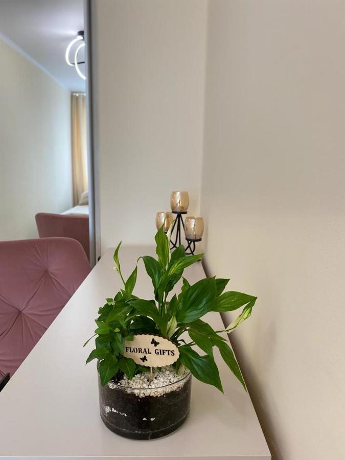 Apartment Katowice/spodek *